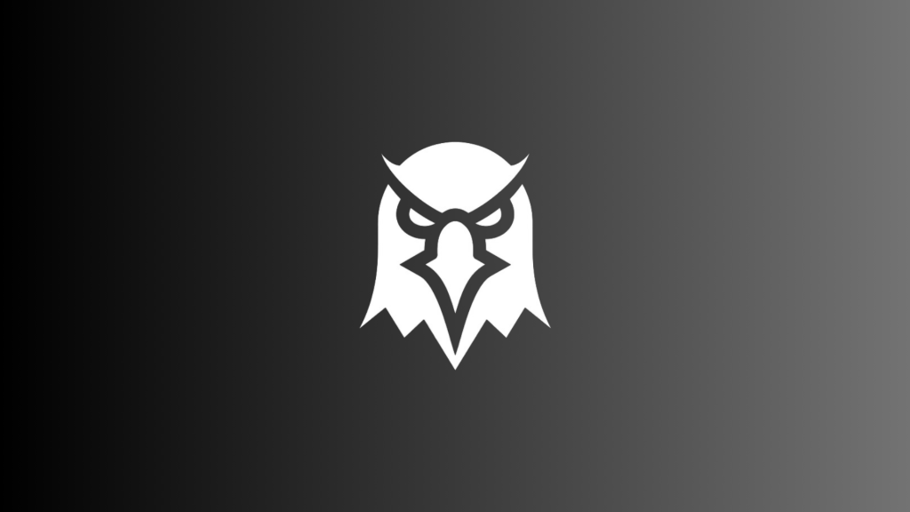 Dex is Paid, CTO 무슨 뜻? 펌프펀 DEX 사용 시 알아야 할 주요 용어 총정리